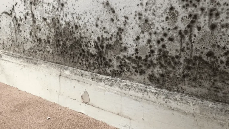 Damp spots on wall